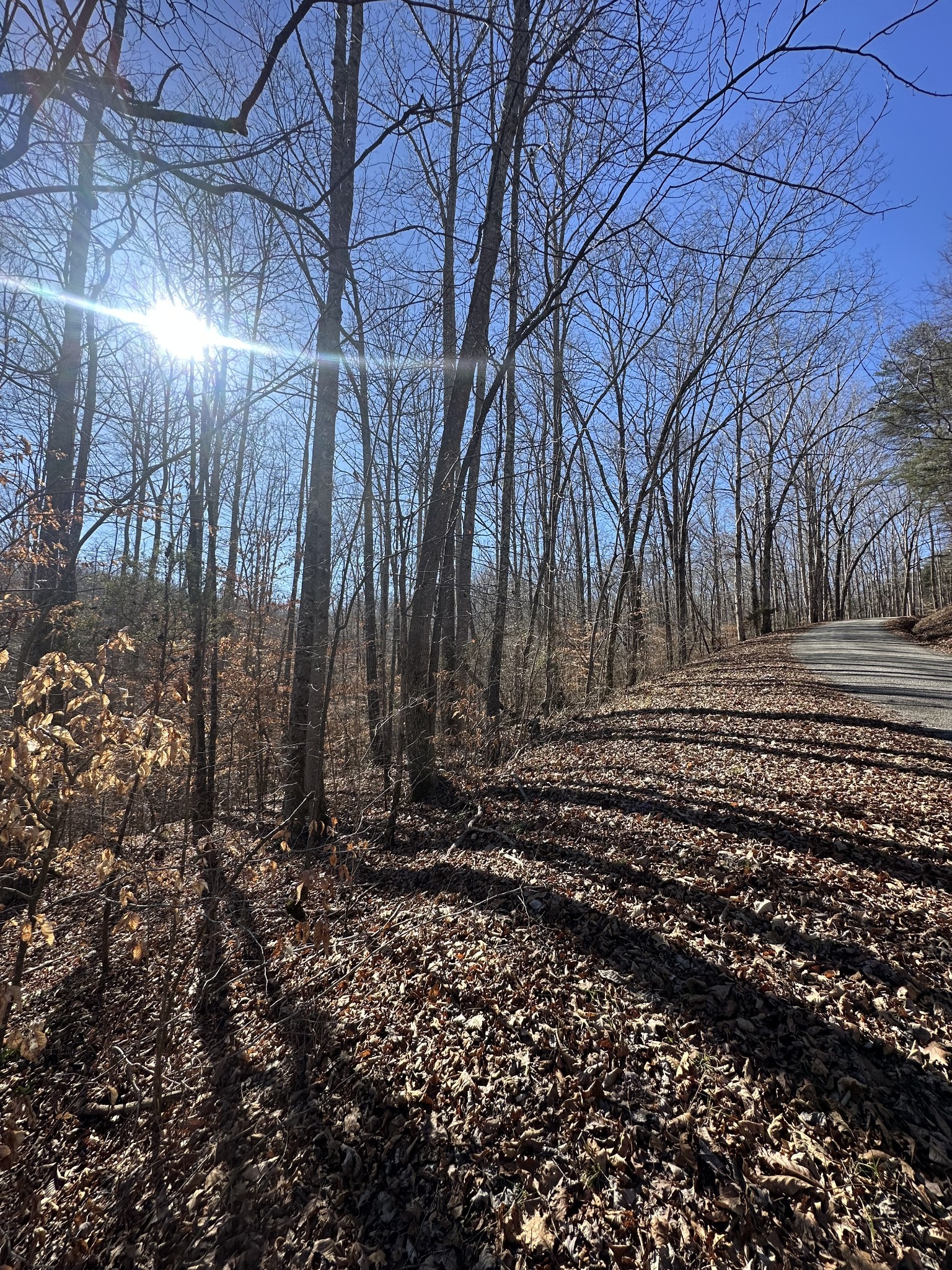 0 Rack Clayton Road Hohenwald, TN 38462 - Photo 13 of 26