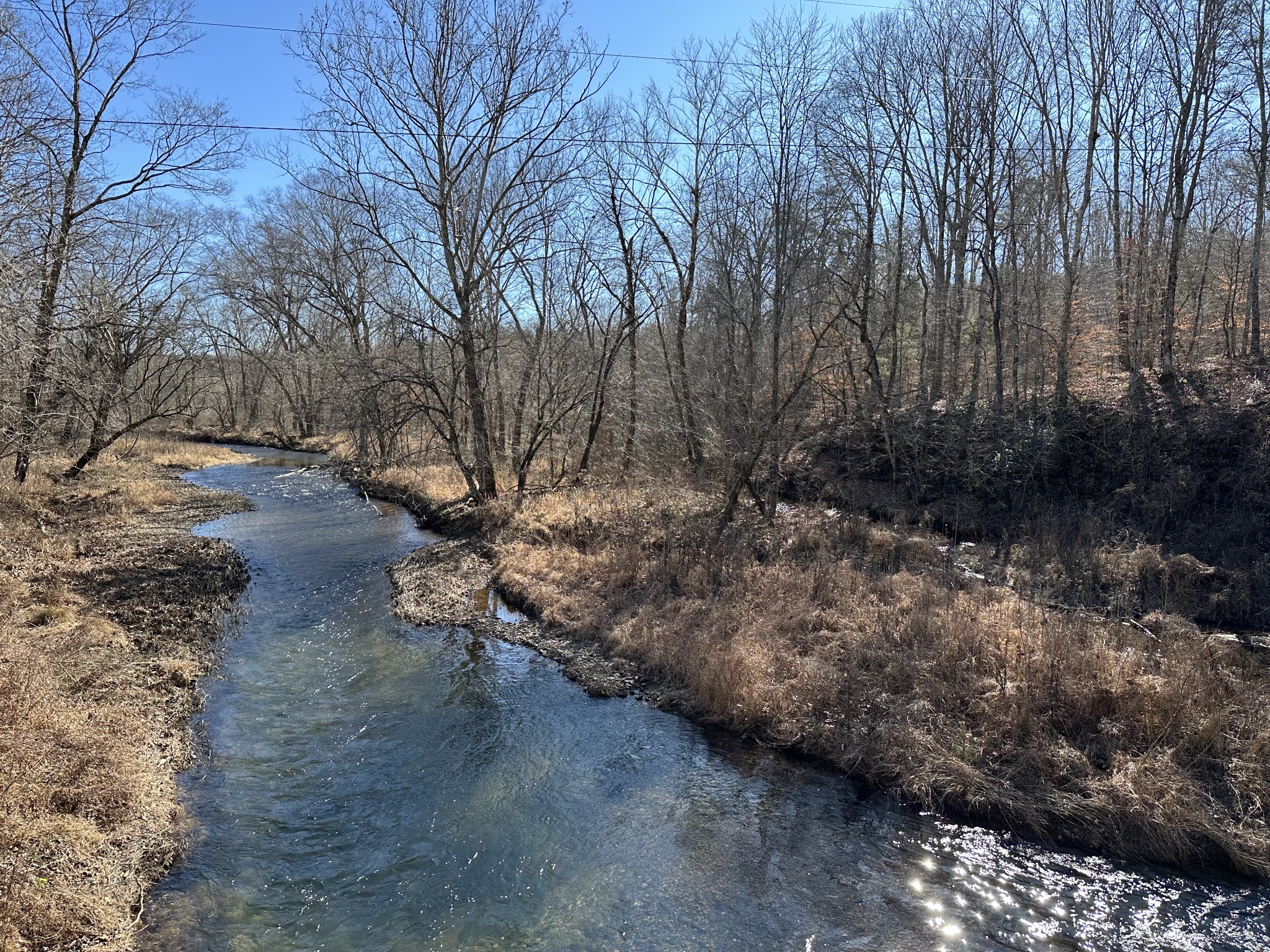 0 Rack Clayton Road Hohenwald, TN 38462 - Photo 18 of 26