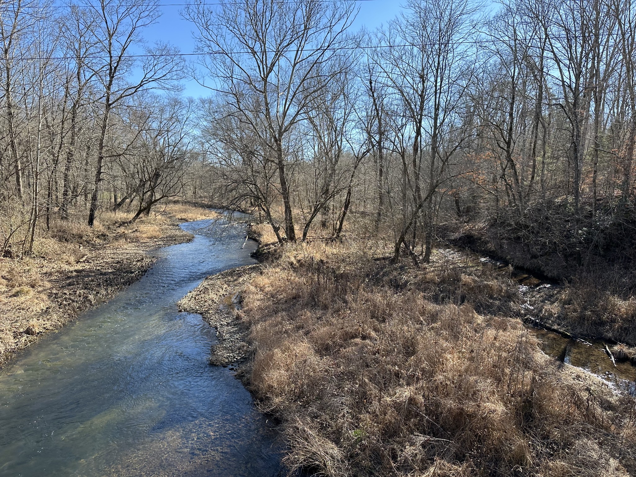 0 Rack Clayton Road Hohenwald, TN 38462 - Photo 19 of 26