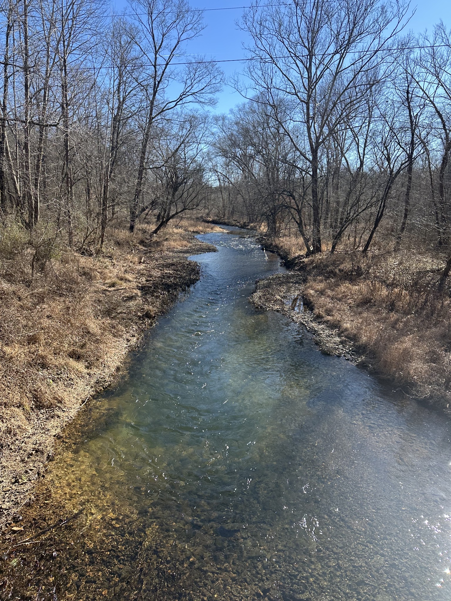 0 Rack Clayton Road Hohenwald, TN 38462 - Photo 20 of 26