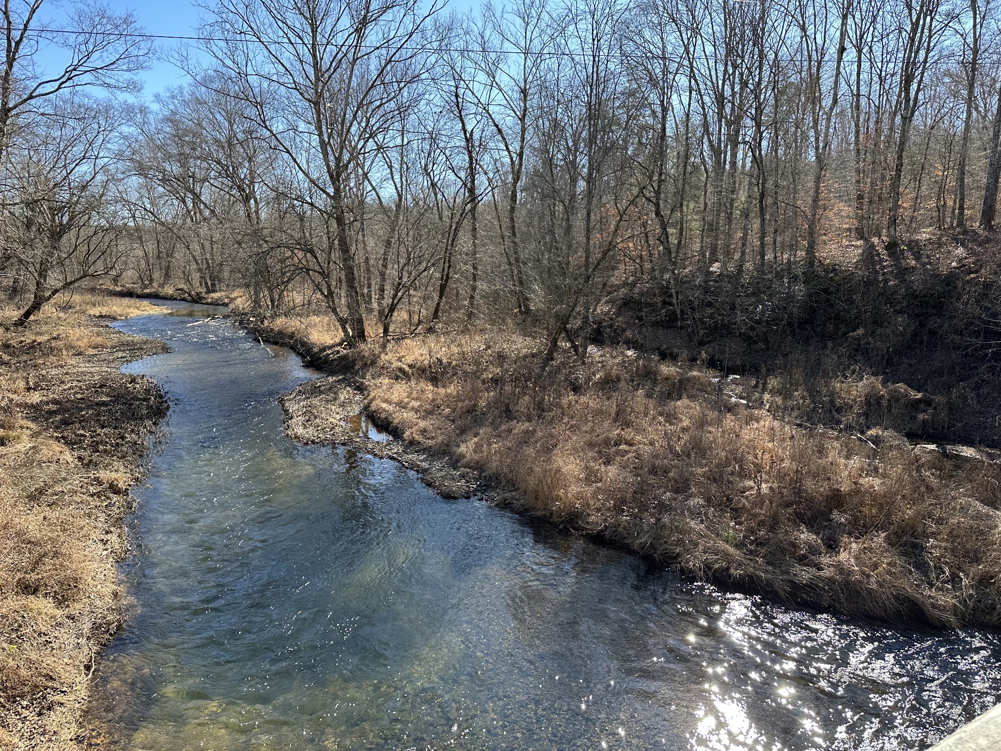 0 Rack Clayton Road Hohenwald, TN 38462 - Photo 2 of 26