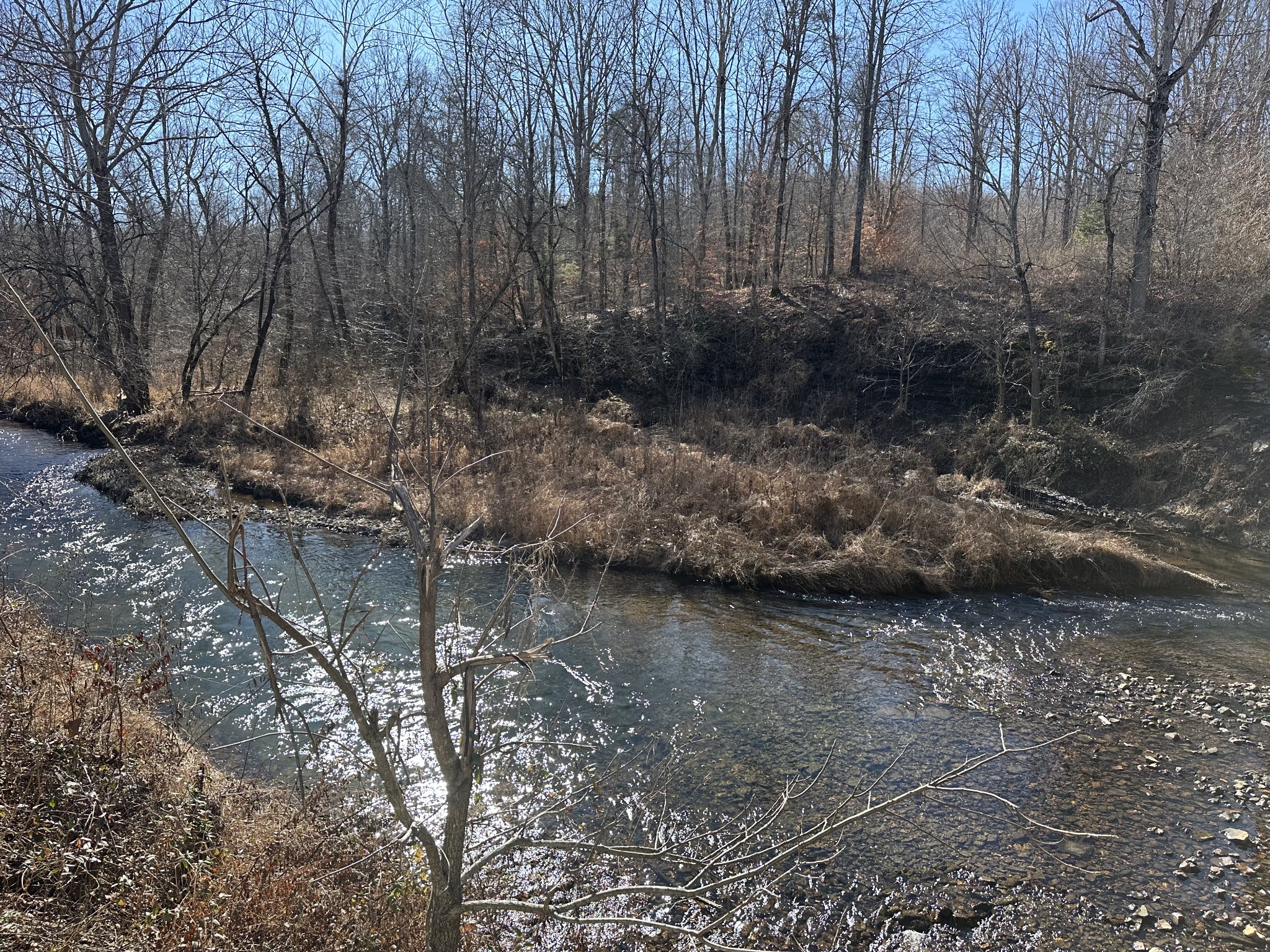 0 Rack Clayton Road Hohenwald, TN 38462 - Photo 21 of 26