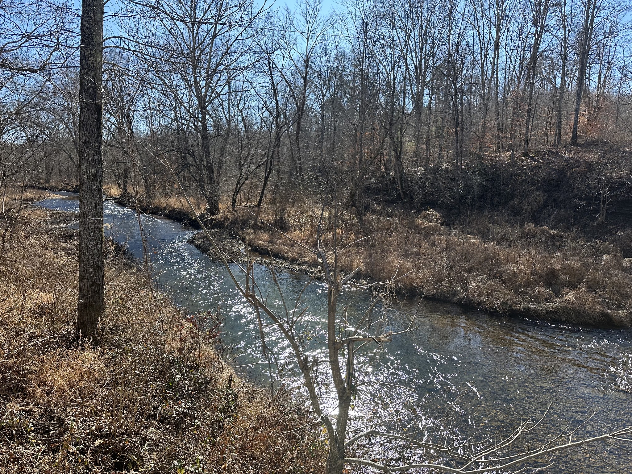 0 Rack Clayton Road Hohenwald, TN 38462 - Photo 22 of 26