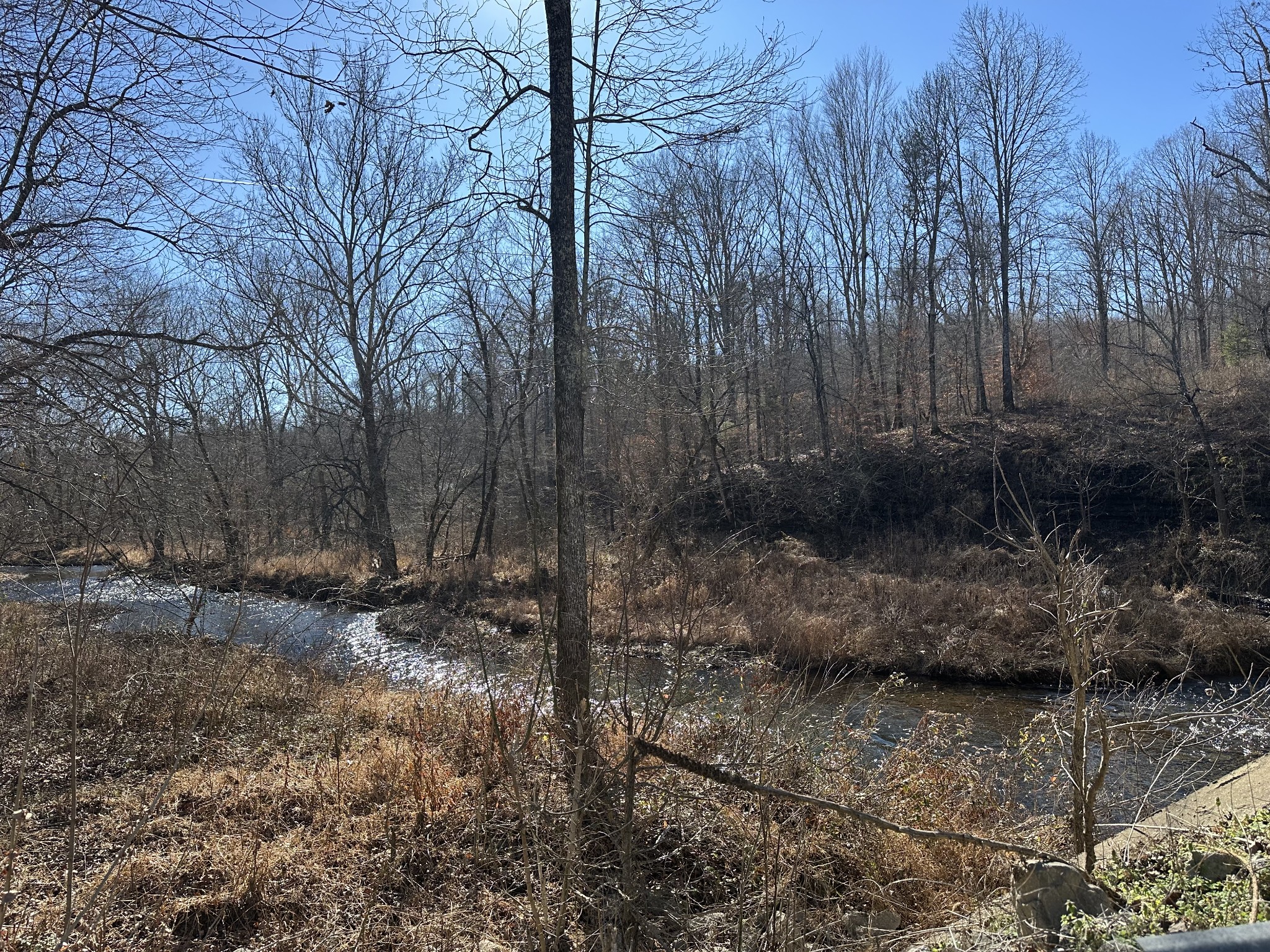 0 Rack Clayton Road Hohenwald, TN 38462 - Photo 23 of 26