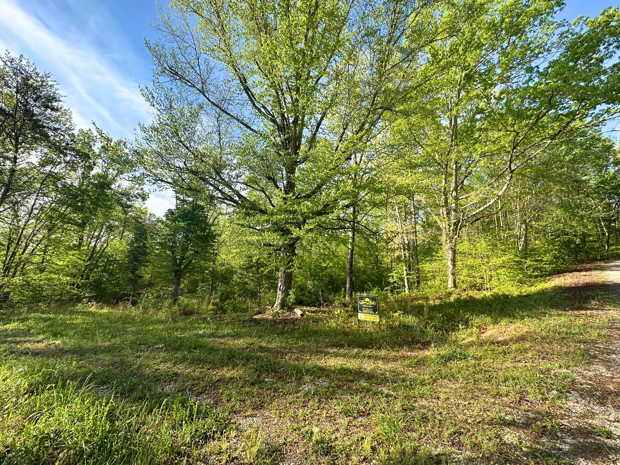 0 Rack Clayton Road Hohenwald, TN 38462 - Photo 4 of 40 Gallery Image 4