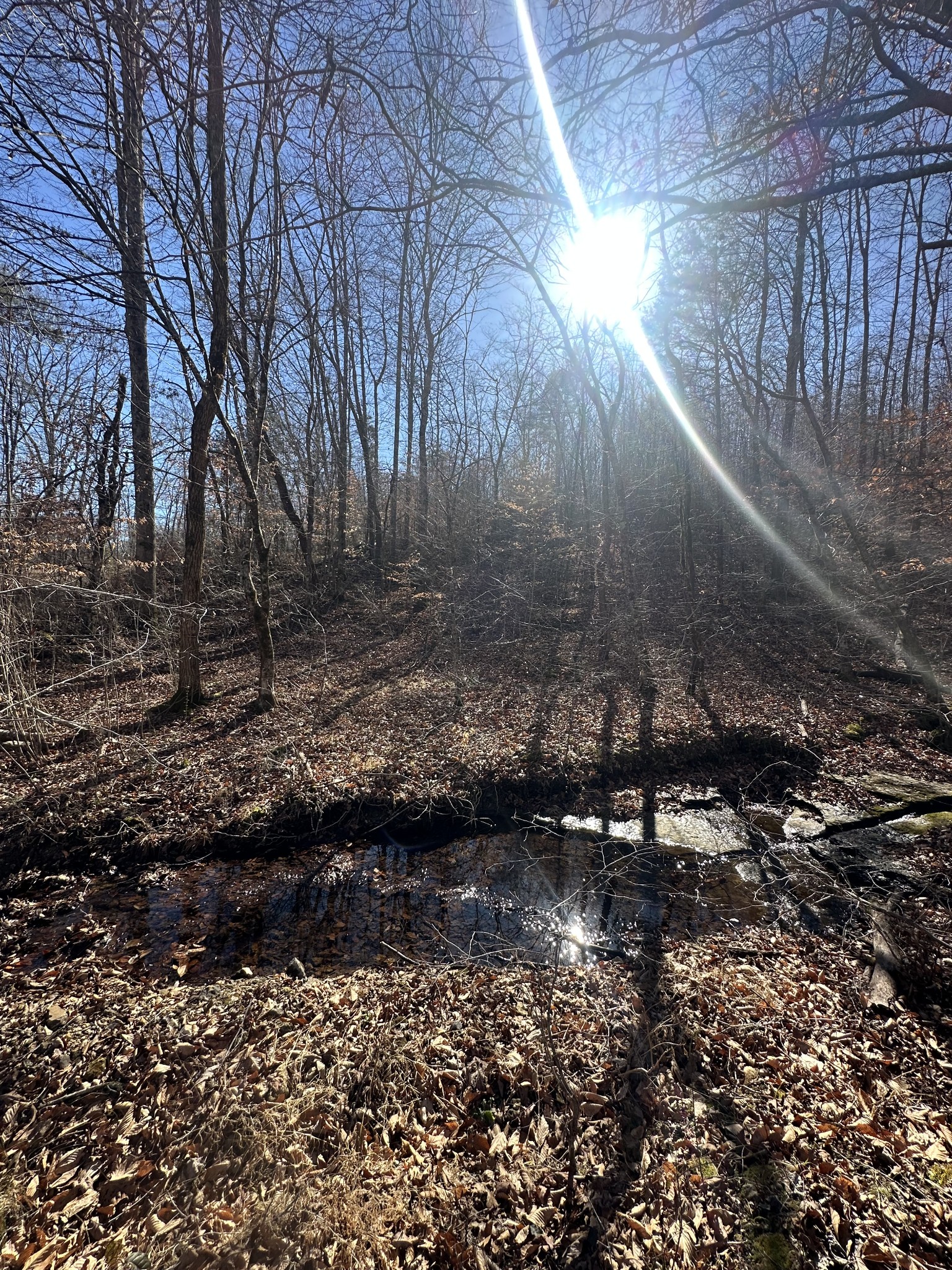 0 Rack Clayton Road Hohenwald, TN 38462 - Photo 5 of 26