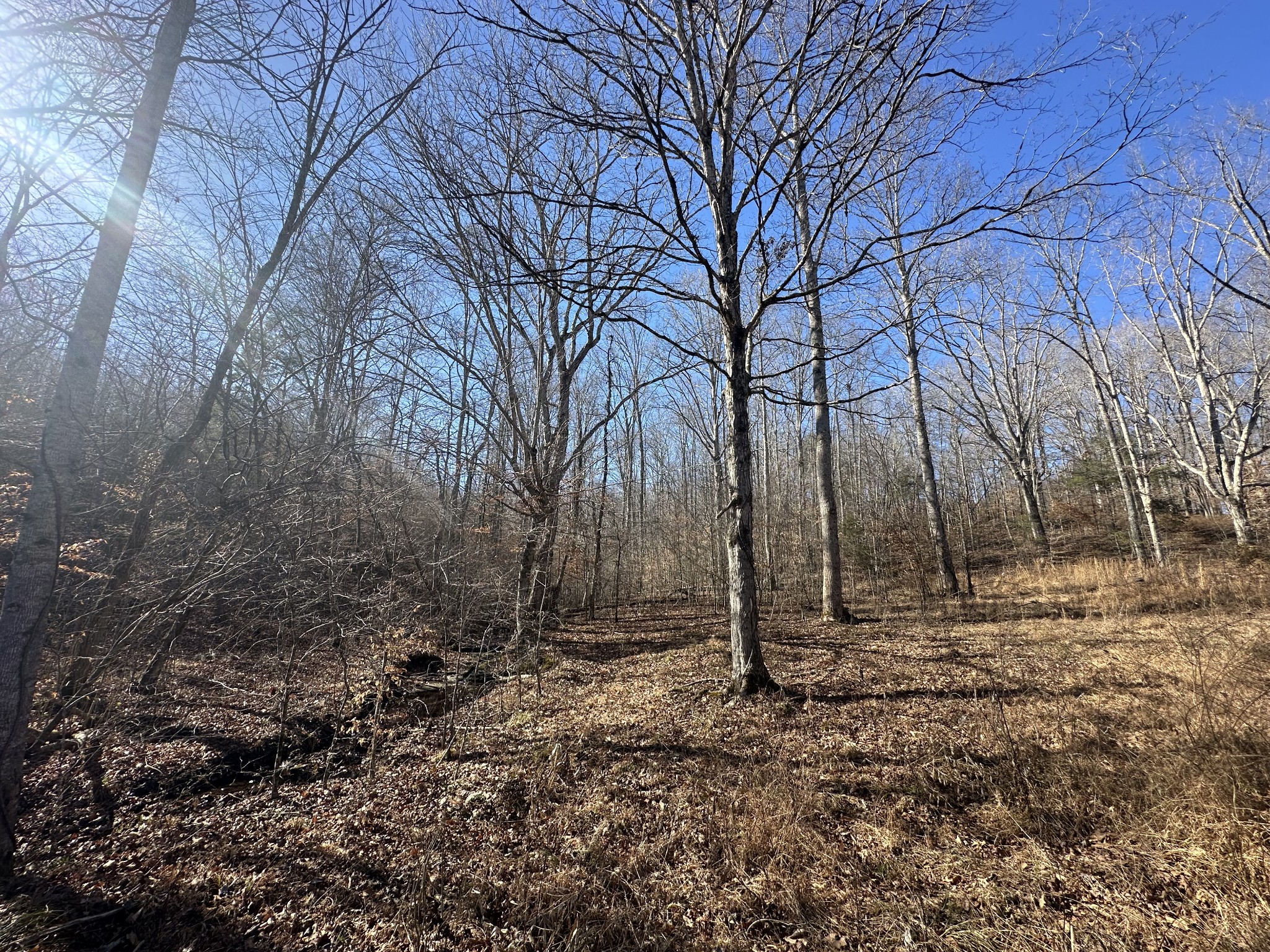 0 Rack Clayton Road Hohenwald, TN 38462 - Photo 6 of 26