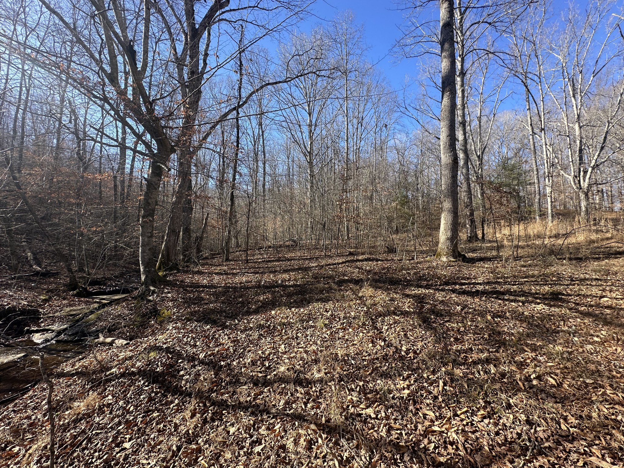 0 Rack Clayton Road Hohenwald, TN 38462 - Photo 7 of 26