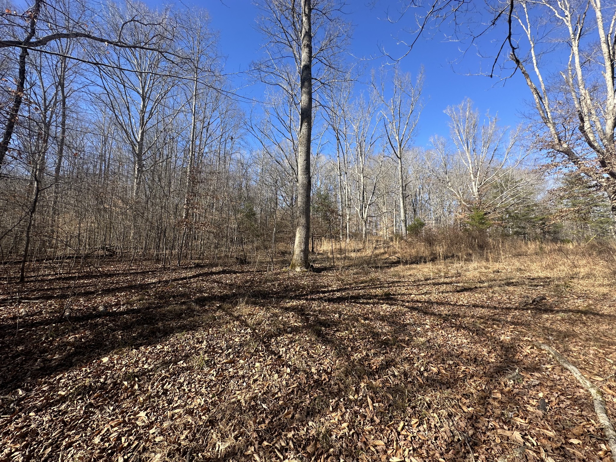 0 Rack Clayton Road Hohenwald, TN 38462 - Photo 9 of 26