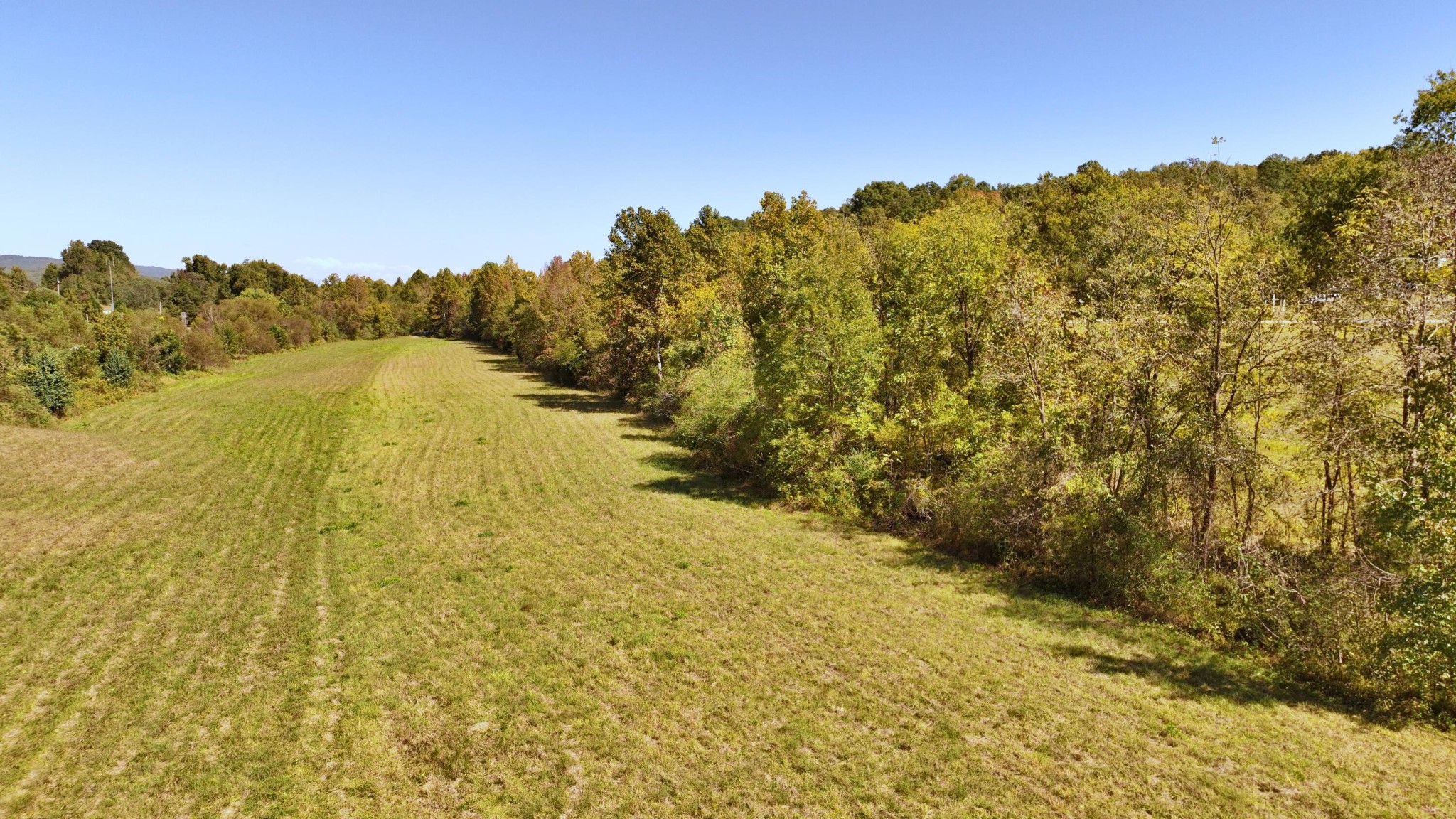 155 Macedonia Road Spring City, TN 37381 - Photo 29 of 38