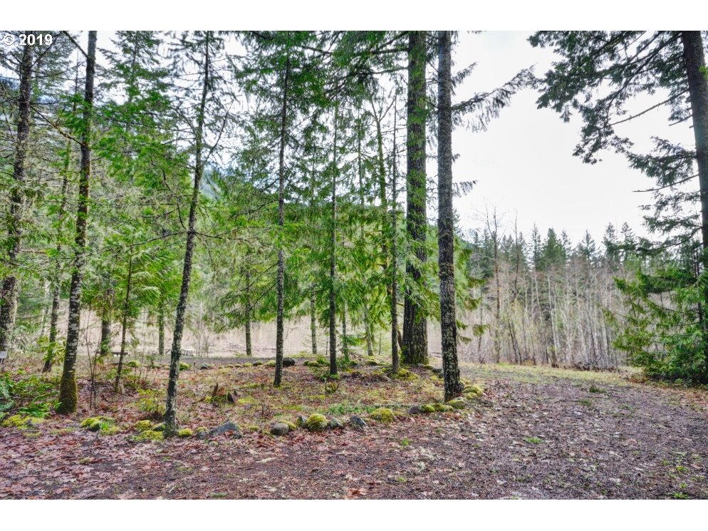 East Lolo Pass Road Rhododendron, OR 97049 - Photo 1 of 14 a view of outdoor space with trees