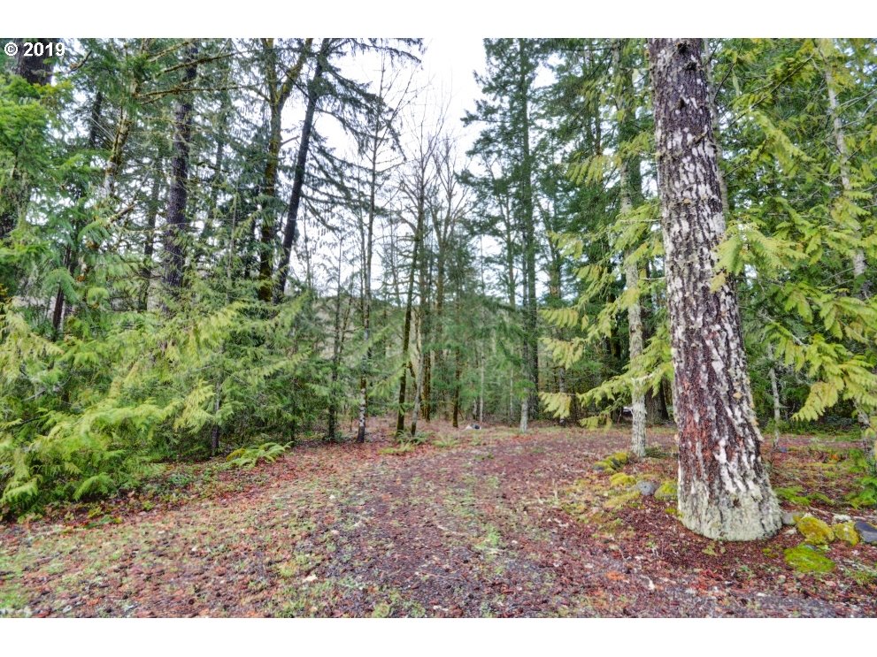 East Lolo Pass Road Rhododendron, OR 97049 - Photo 2 of 14 a view of outdoor space and trees