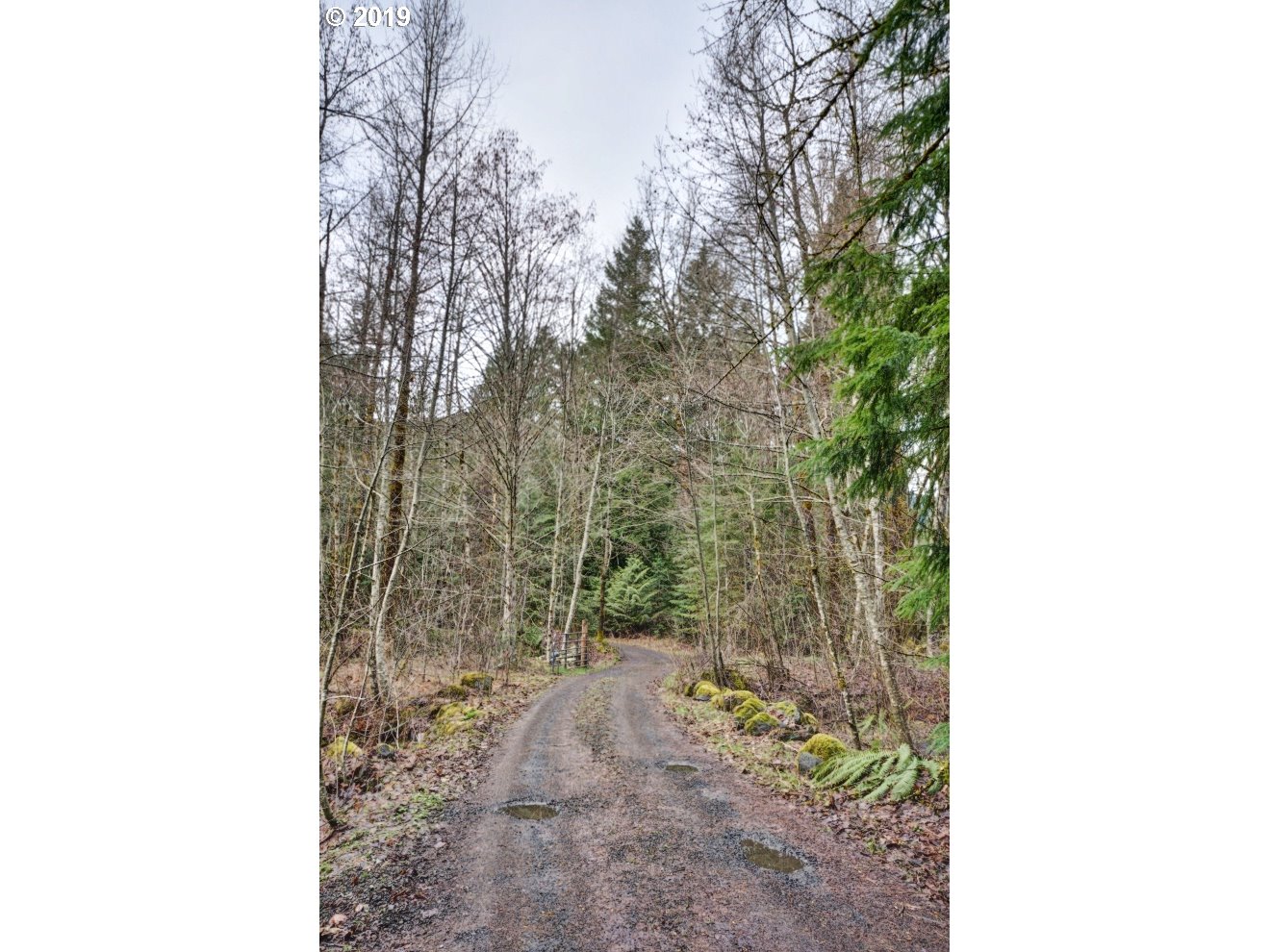 East Lolo Pass Road Rhododendron, OR 97049 - Photo 5 of 14