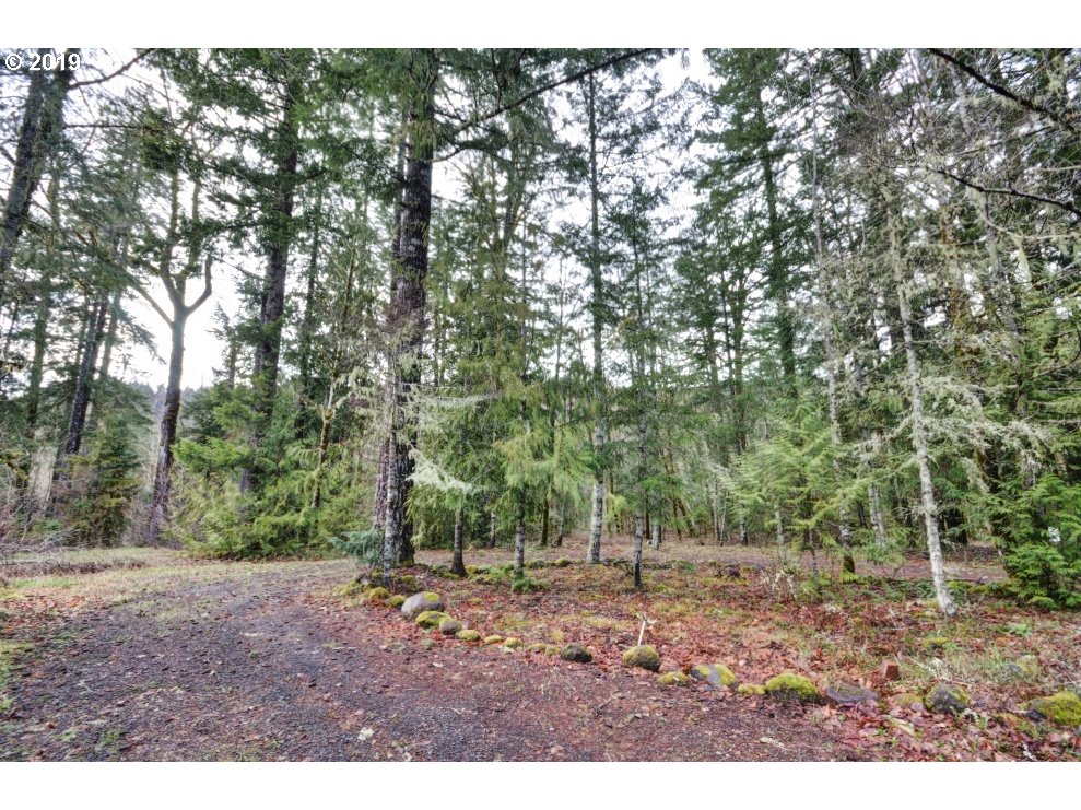 East Lolo Pass Road Rhododendron, OR 97049 - Photo 7 of 14 a view of outdoor space and yard