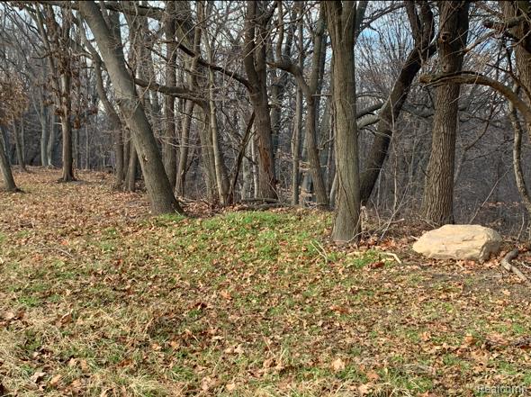 0 Territorial Road Benton Harbor, MI 49022 - Photo 17 of 23 Gallery Image 17