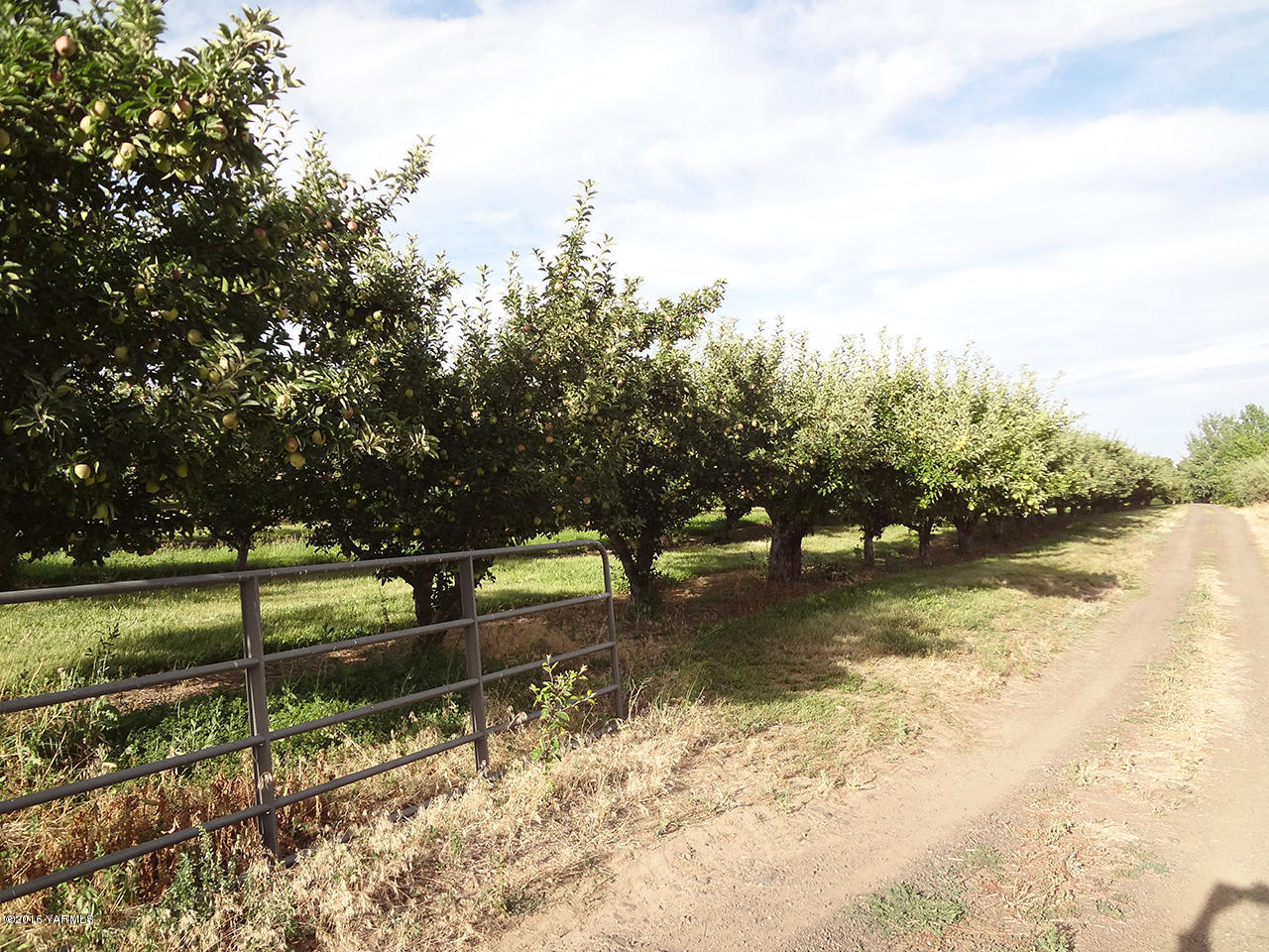 Nka Cook Road, Unit LOT #2 Yakima, WA 98908 - Photo 2 of 7 a view of a yard with wooden fence