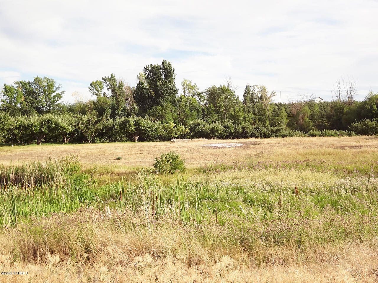Nka Cook Road, Unit LOT #2 Yakima, WA 98908 - Photo 3 of 7 a view of yard with trees