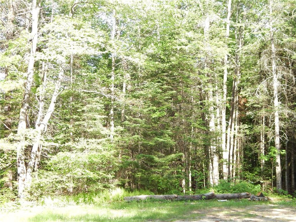 262-258 Bog Road Bethel, ME 04217 - Photo 3 of 3 Photo