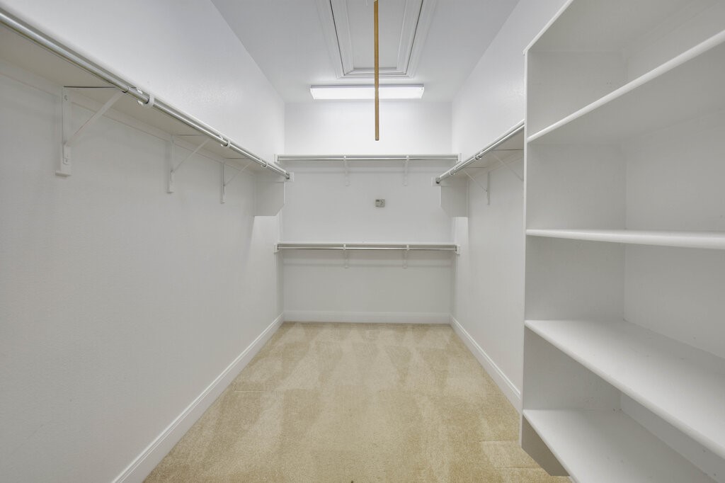 735 Breezeway Lane Georgetown, TX 78633 - Photo 25 of 33 Walk in closet featuring attic access.