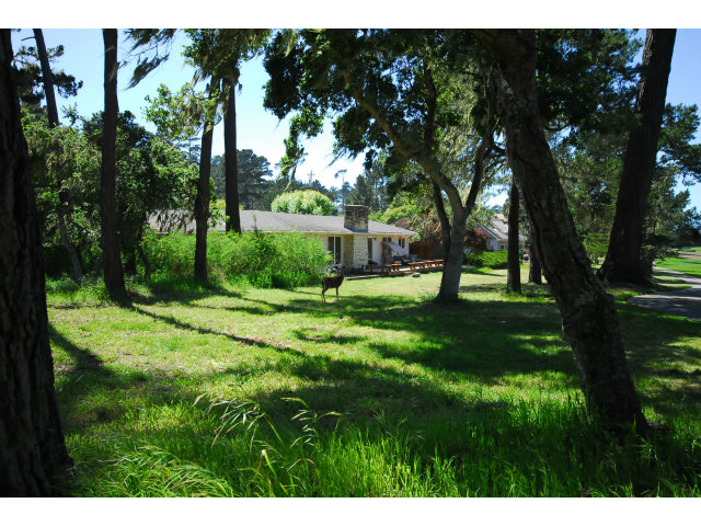 2954 Bird Rock Road Pebble Beach, CA 93953 - Photo 18 of 25 Gallery Image 18