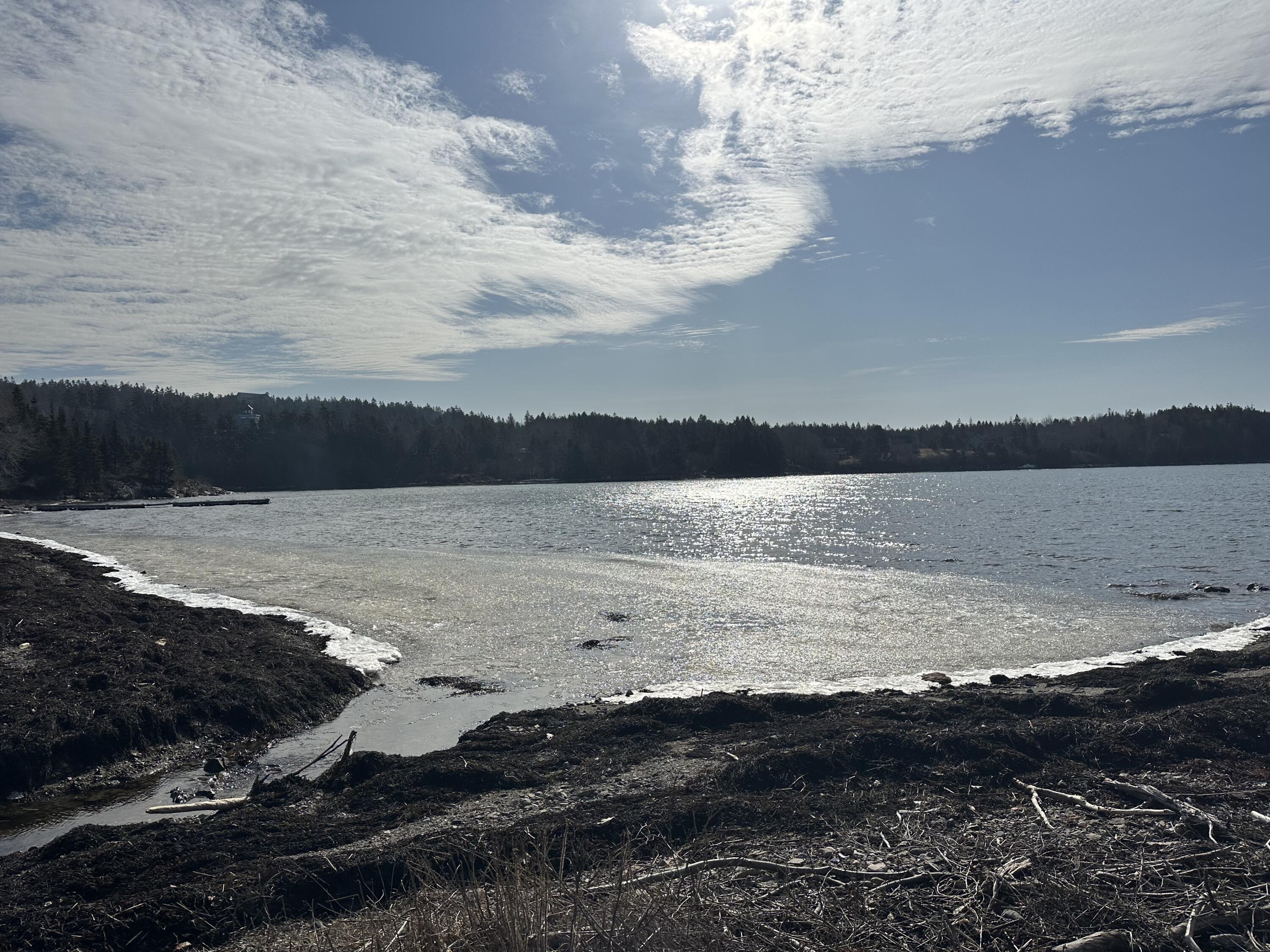 26 Clark Point Road Tremont, ME 04612 - Photo 3 of 13 26 Pic 11