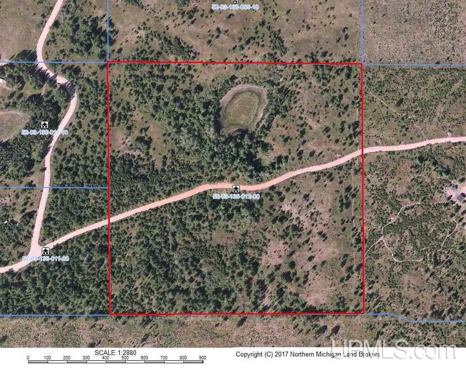 40-acres Bryan Creek Road Ishpeming, MI 49849 - Photo 5 of 6 Gallery Image 5