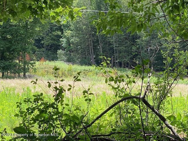 Lot 1 Stone Road Dalton, PA 18414 - Photo 4 of 7 a view of a garden
