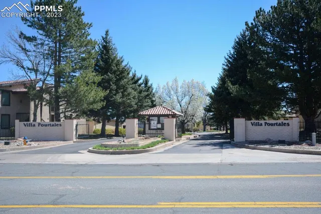 a swimming pool view with large trees and wooden fence