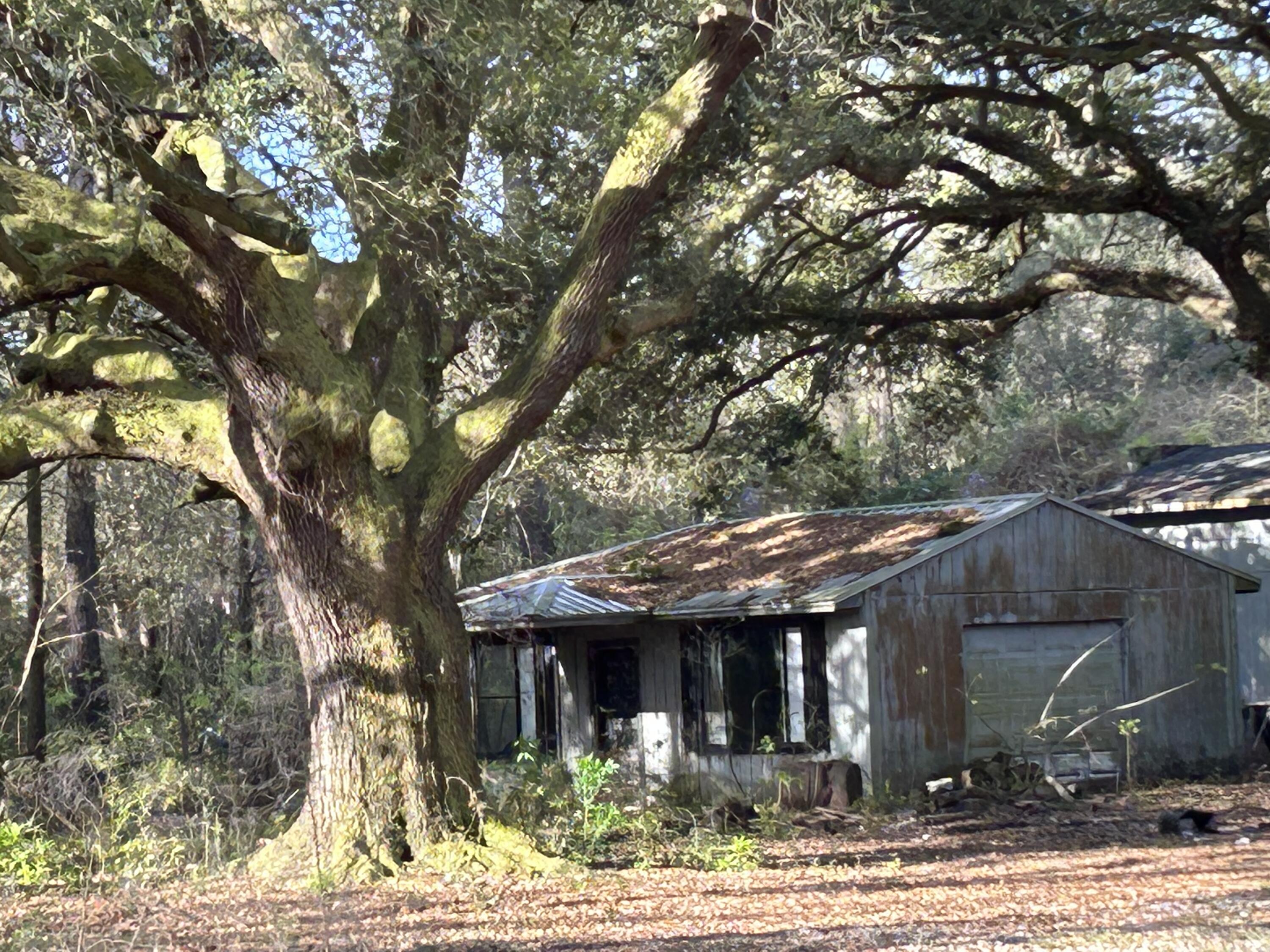 6041 Landover Road Ravenel, SC 29470 - Photo 1 of 22 2023-03-17 09.35.19