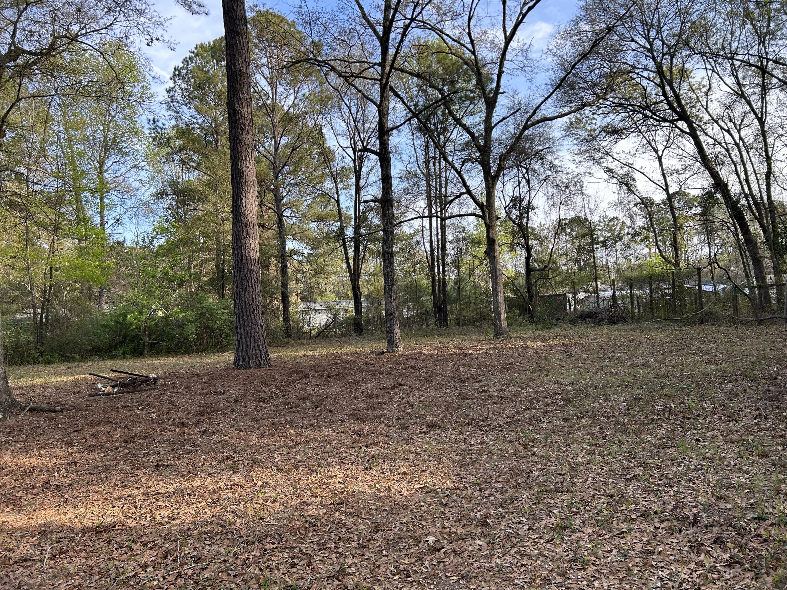 6041 Landover Road Ravenel, SC 29470 - Photo 12 of 22 2023-03-17 09.29.55