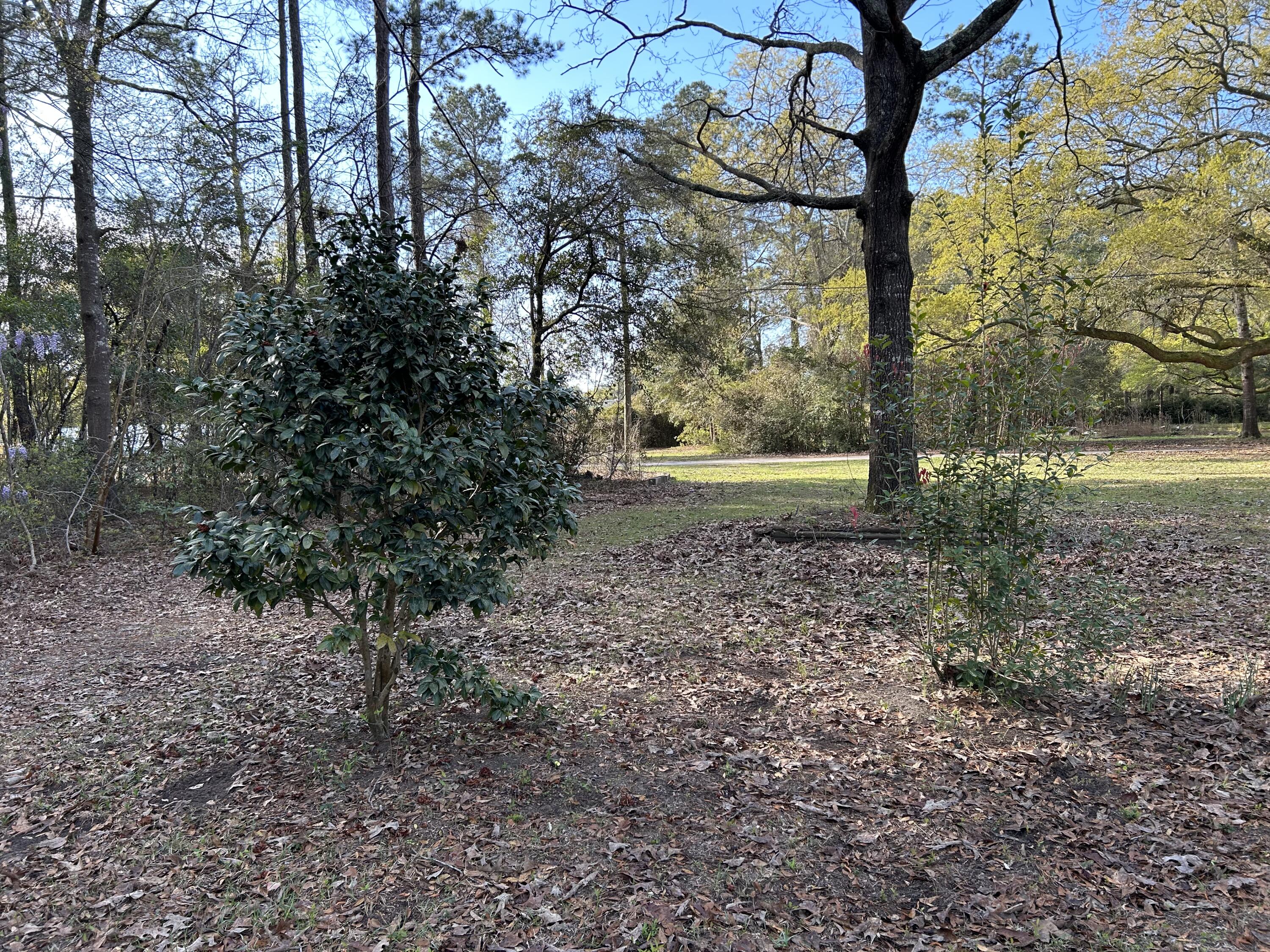 6041 Landover Road Ravenel, SC 29470 - Photo 17 of 22 2023-03-17 09.31.14