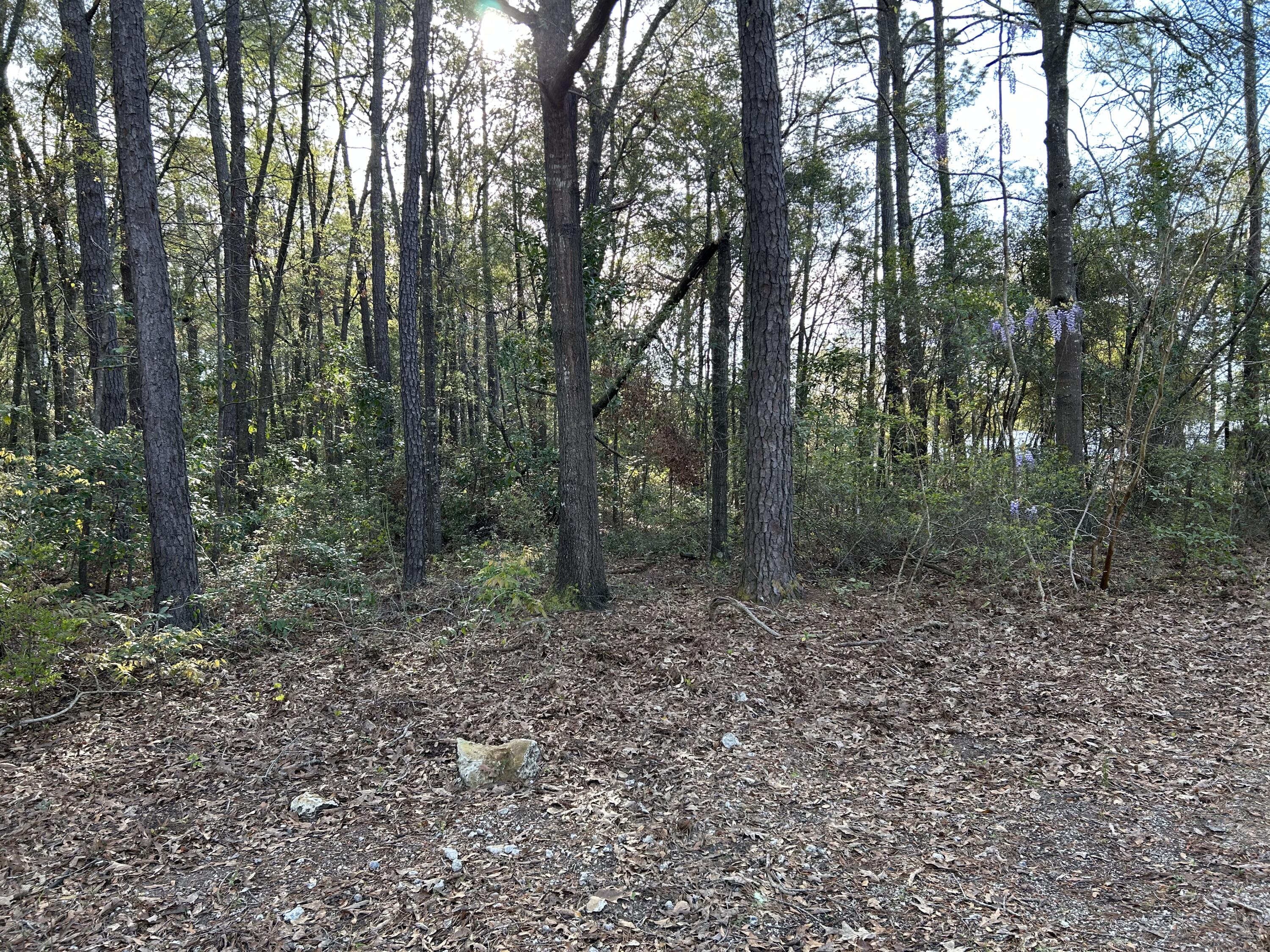 6041 Landover Road Ravenel, SC 29470 - Photo 18 of 22 2023-03-17 09.31.23