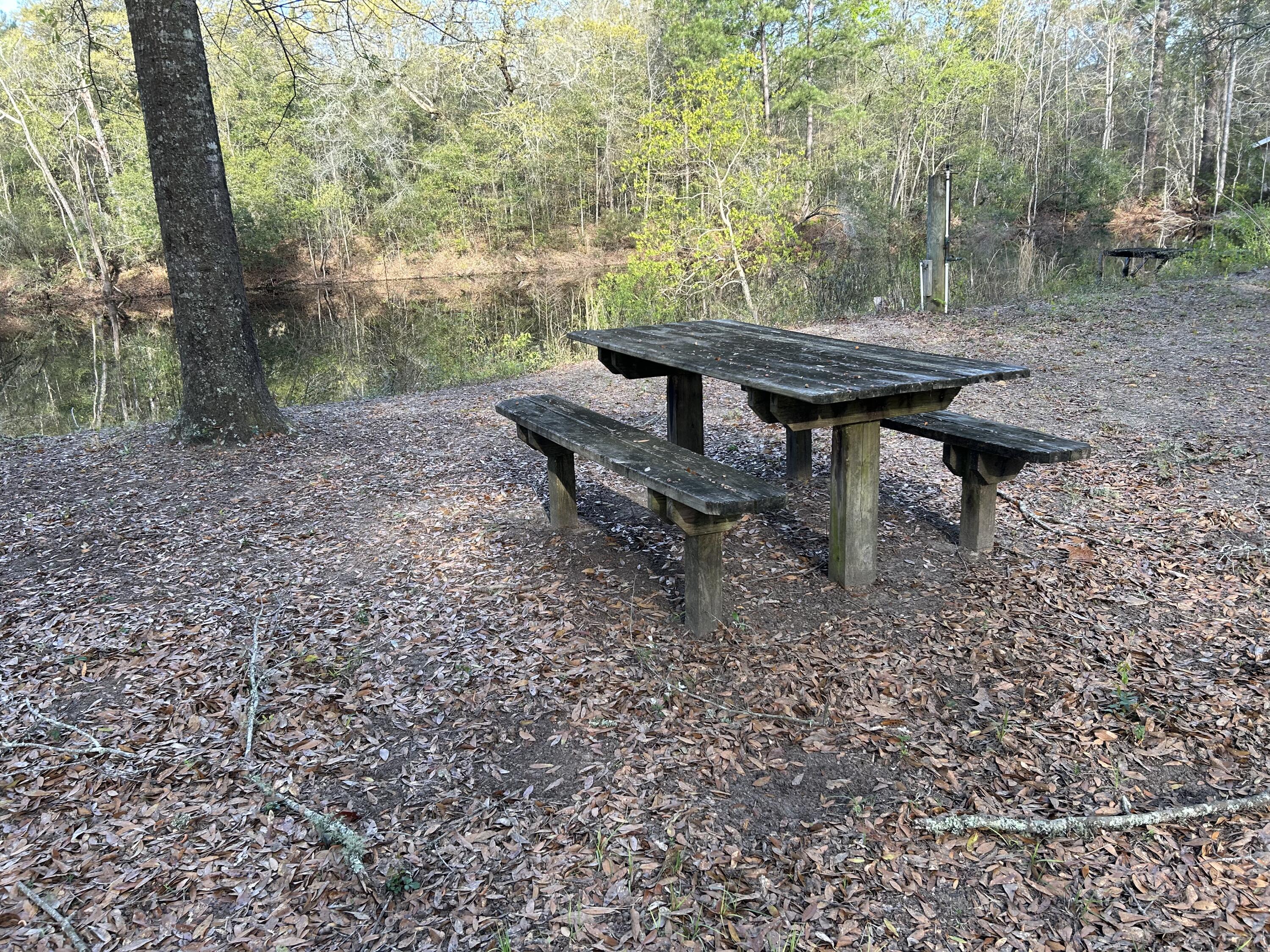 6041 Landover Road Ravenel, SC 29470 - Photo 7 of 22 2023-03-17 09.28.53