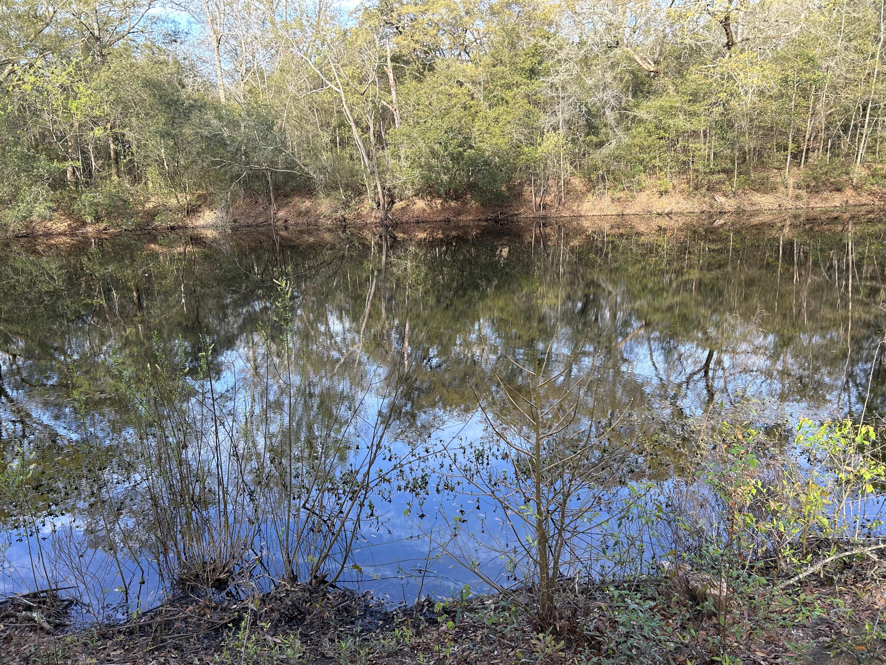 6041 Landover Road Ravenel, SC 29470 - Photo 8 of 22 2023-03-17 09.29.14