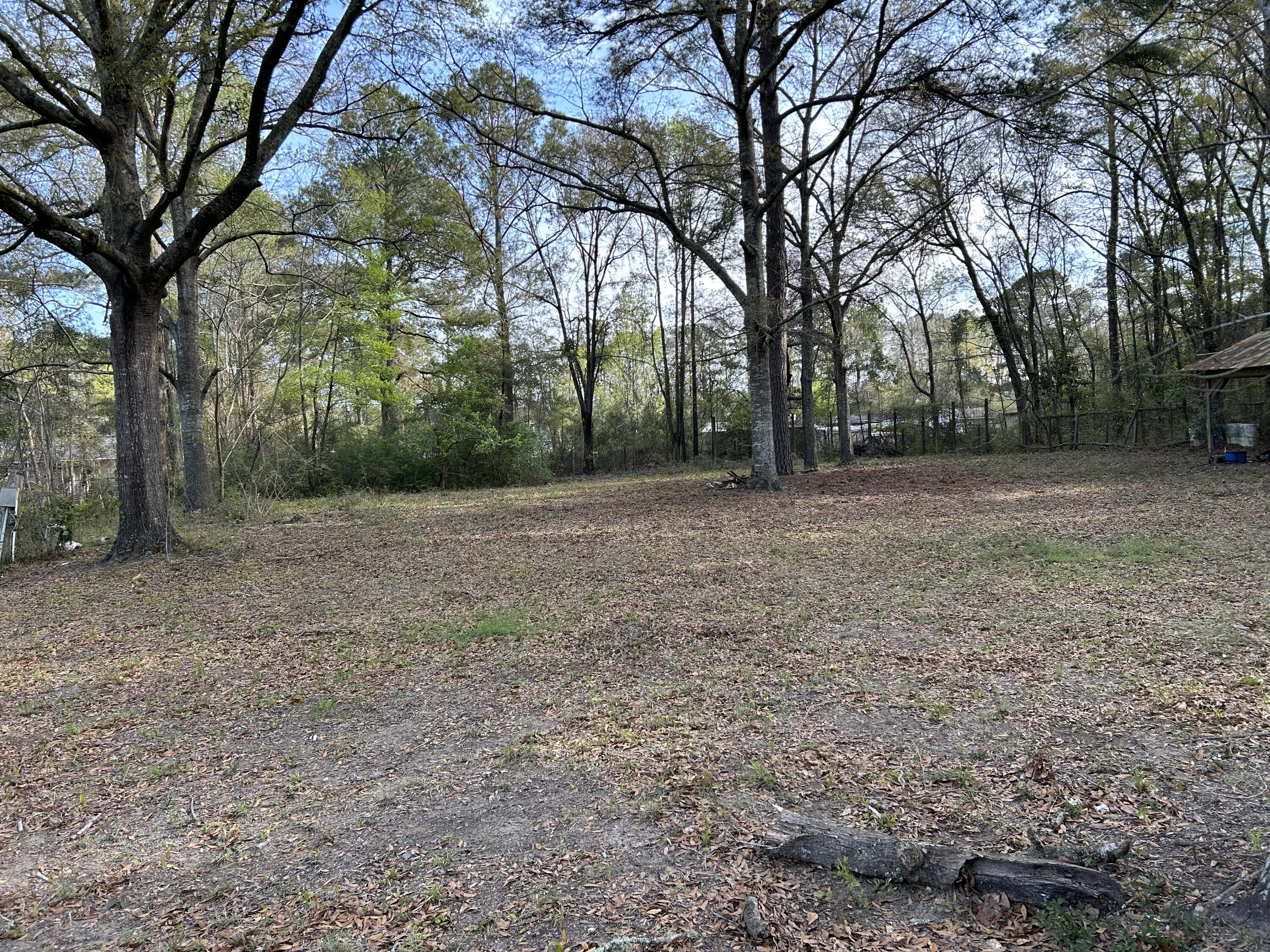 6041 Landover Road Ravenel, SC 29470 - Photo 9 of 22 2023-03-17 09.29.25