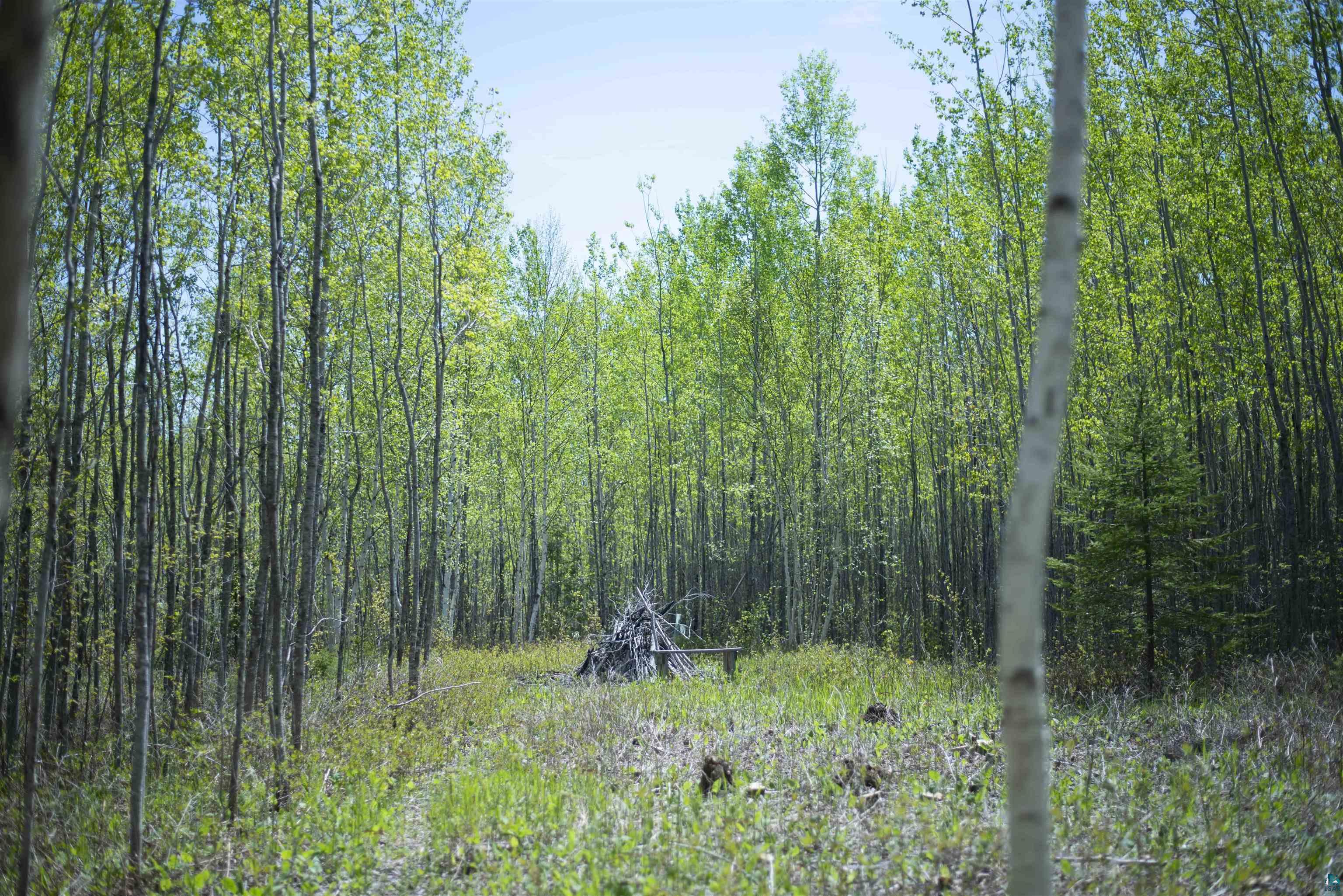 13 Coyote Ridge Grand Marais, MN 55604 - Photo 25 of 30