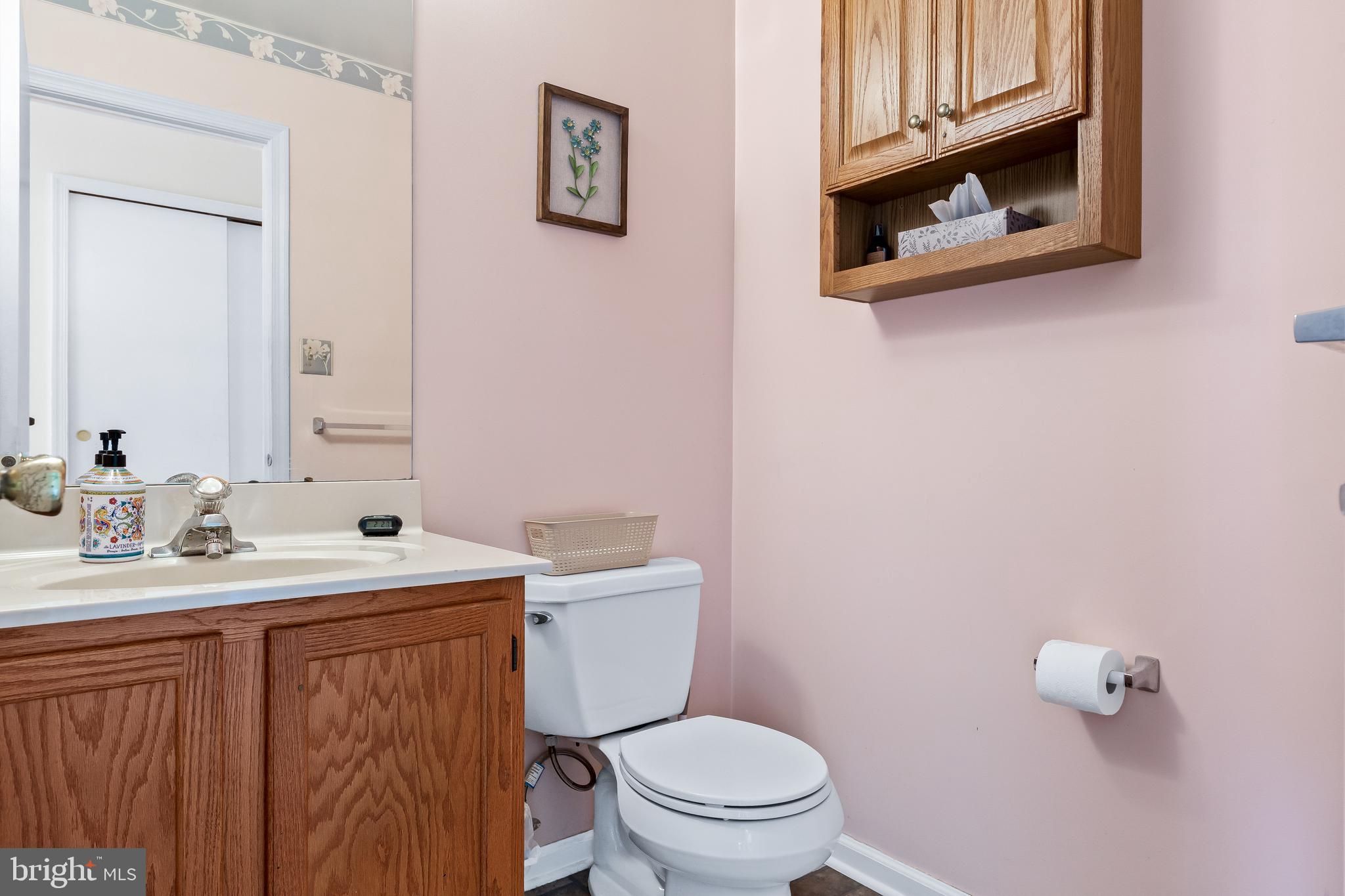 20 Ridgewood Way Burlington, NJ 08016 - Photo 20 of 34 Downstairs Half Bath