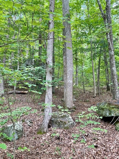 11 Lonesome Pine Road Murphy, NC 28906 - Photo 2 of 7