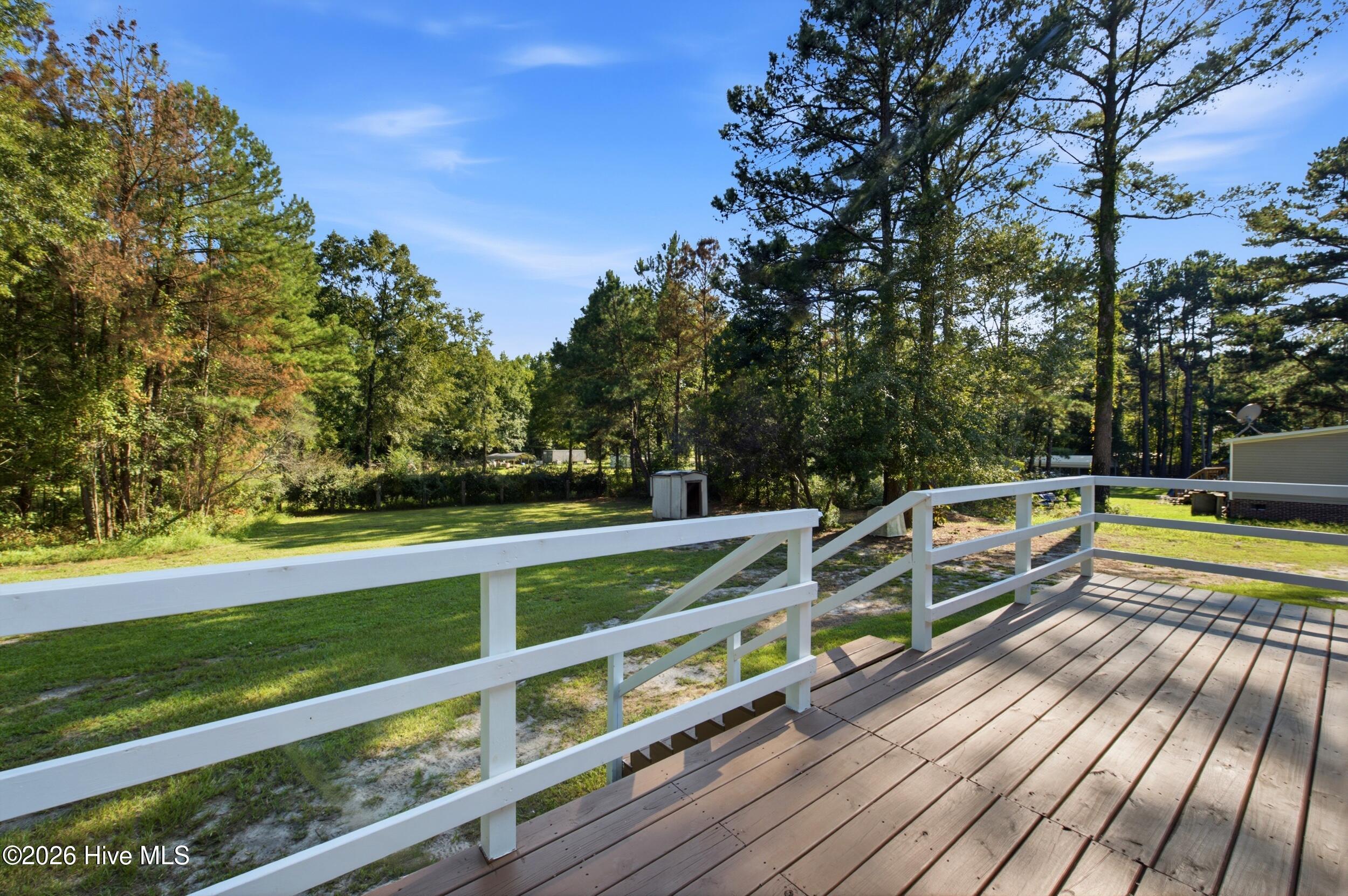 171 Big 4 Road Currie, NC 28435 - Photo 33 of 53 Gallery Image 33