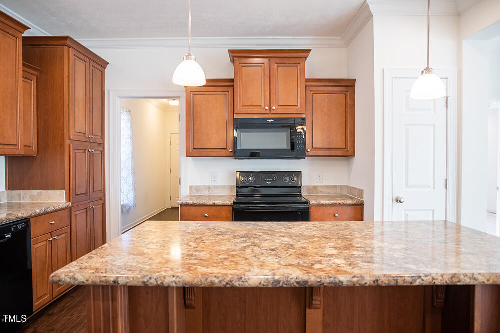 9515 Meredith Drive Rougemont, NC 27572 - Photo 36 of 47 M15 copy