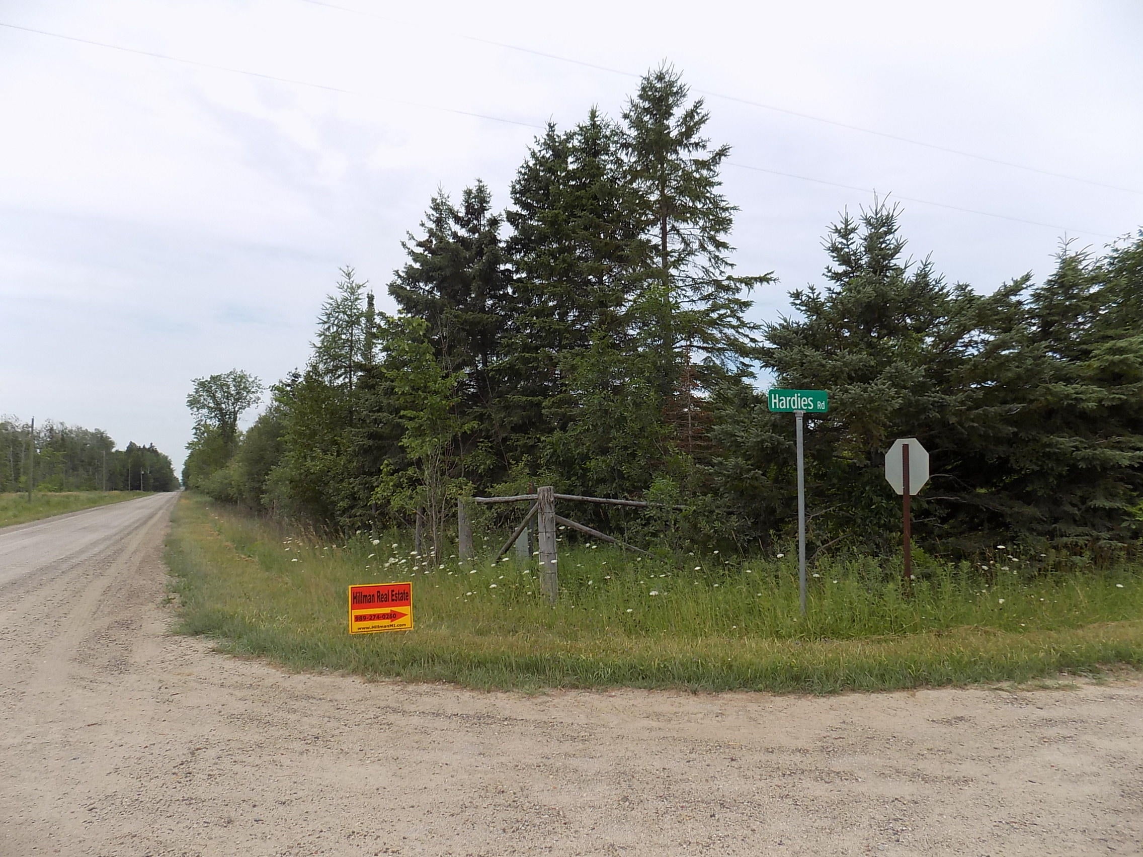 8040 Hardies Road Lachine, MI 49753 - Photo 20 of 24 Gallery Image 20