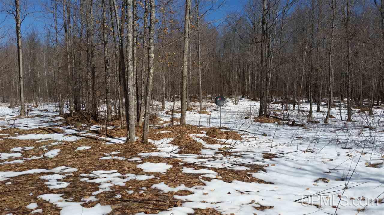 70 Long Lake Long Lake, WI 54542 - Photo 5 of 16