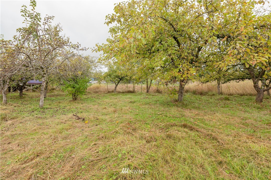 9641 Delta Line Road Blaine, WA 98230 - Photo 21 of 26 a backyard of a house with lots of green space