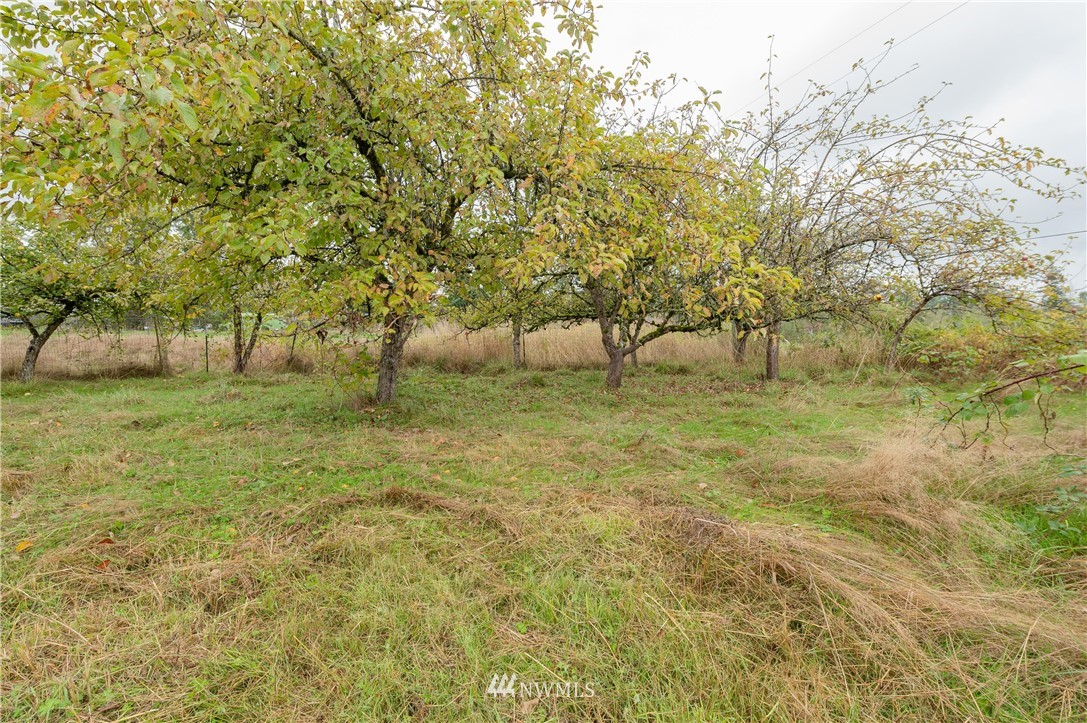 9641 Delta Line Road Blaine, WA 98230 - Photo 22 of 26 a view of outdoor space with garden and trees