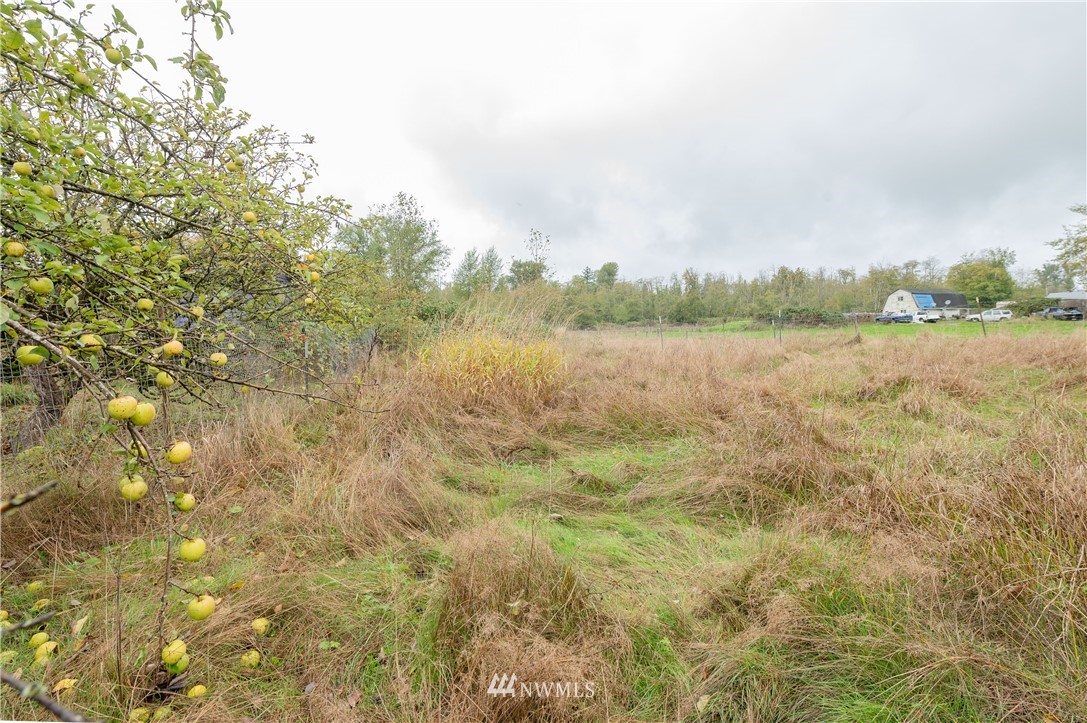 9641 Delta Line Road Blaine, WA 98230 - Photo 23 of 26 a view of lake with green space