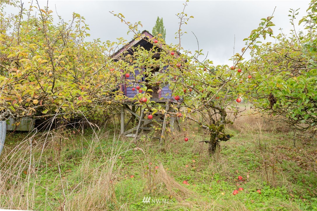 9641 Delta Line Road Blaine, WA 98230 - Photo 24 of 26 a view of a yard of the house
