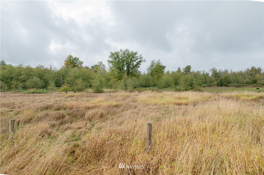 9641 Delta Line Road Blaine, WA 98230 - Photo 25 of 26 a view of a field with trees in background