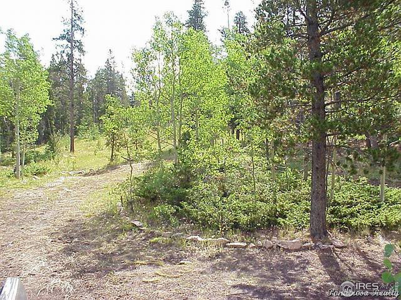 5481 Creedmore Lakes Road Red Feather Lakes, CO 80545 - Photo 1 of 2 Gallery Image 1