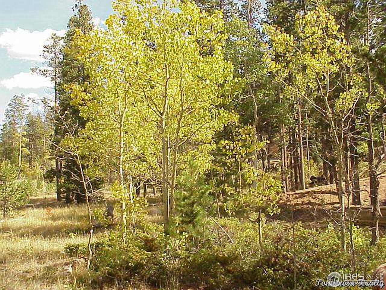 5481 Creedmore Lakes Road Red Feather Lakes, CO 80545 - Photo 2 of 2 Gallery Image 2