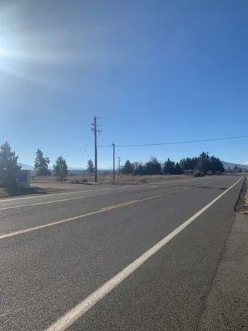 a view of a yard with a large tree
